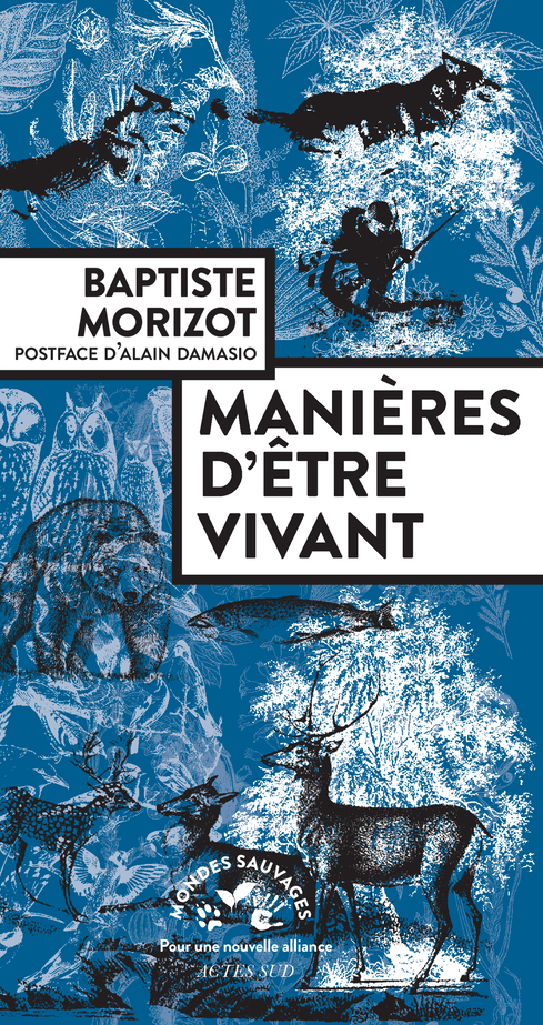 Manières d’être vivant, de Baptiste Morizot, chez Actes Sud